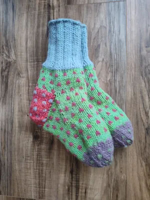FC1-246 Slipper Thick Socks